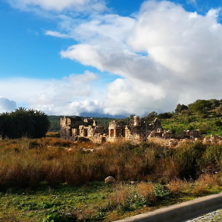 Bed & Breakfast Flower Patara