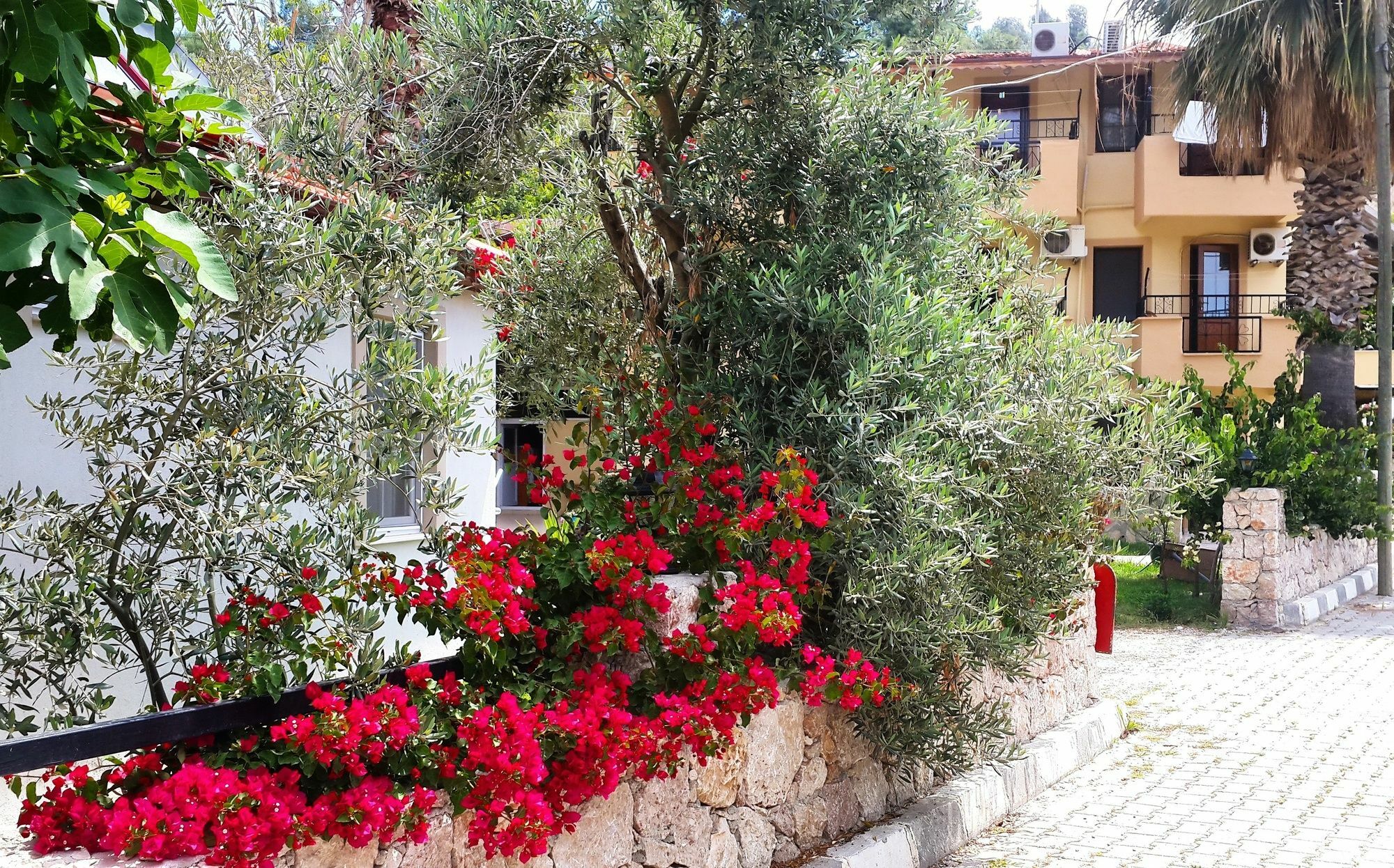Flower Bed & Breakfast Patara